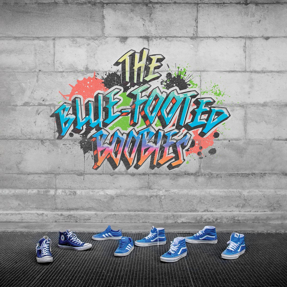 THE BLUE-FOOTED BOOBIES