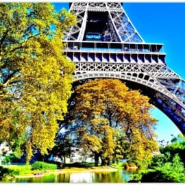 10 reasons to learn French with ACCORD Paris