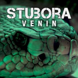 STUBORA. nouveau single, "Venin"