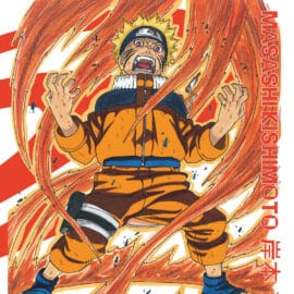 NARUTO (EDITION HOKAGE) T.13