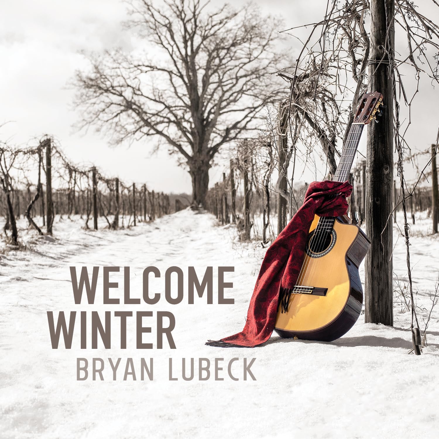 Brian Lubeck - Welcome Winter (ENG review)
