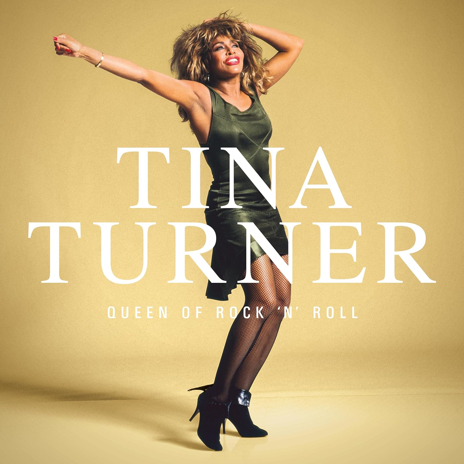 TINA TURNER