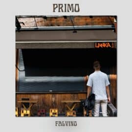 FALVINO - Primo