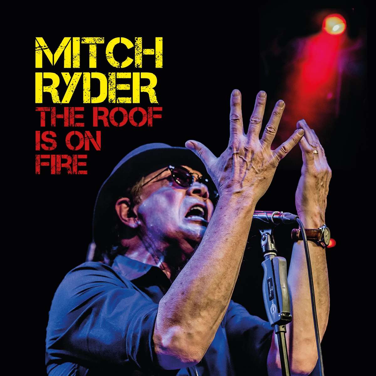 MITCH RYDER - The Roof Is On Fire