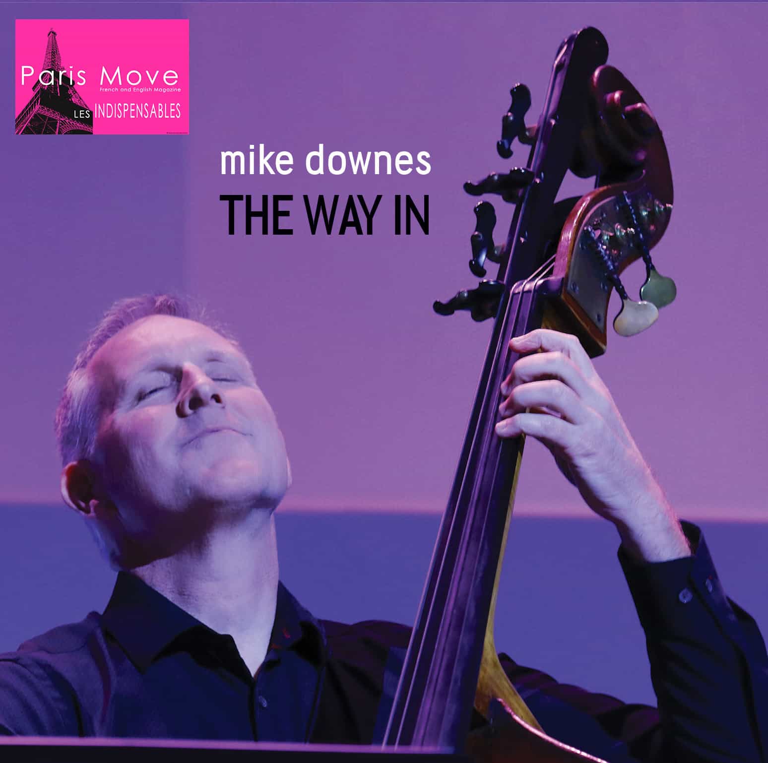 Mike Downes – The Way in (ENG review)