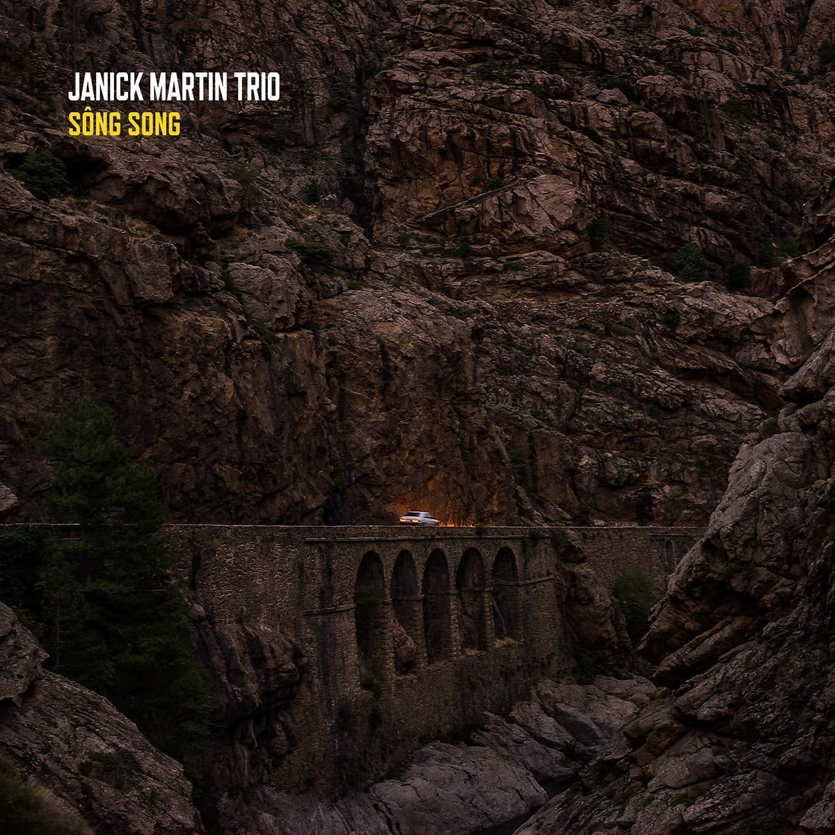 JANICK MARTIN TRIO - SÔNG SONG