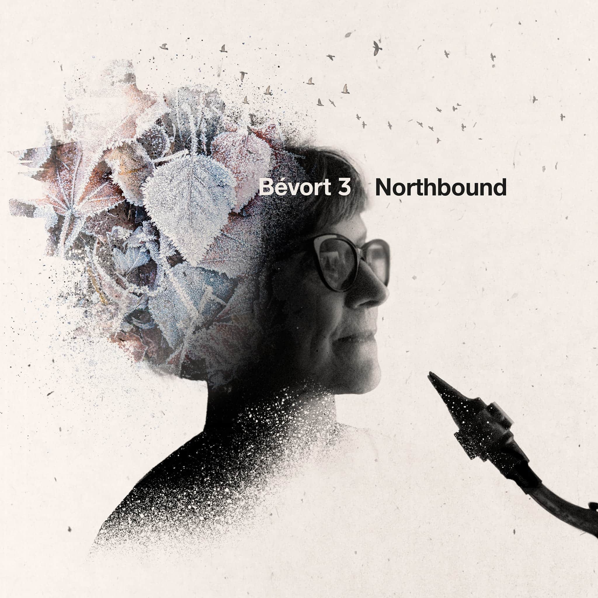 Pernille Bevort – Bevort 3 "Northbound"