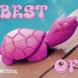 PINK TURTLE - Best Of