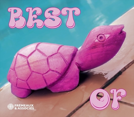 PINK TURTLE - Best Of