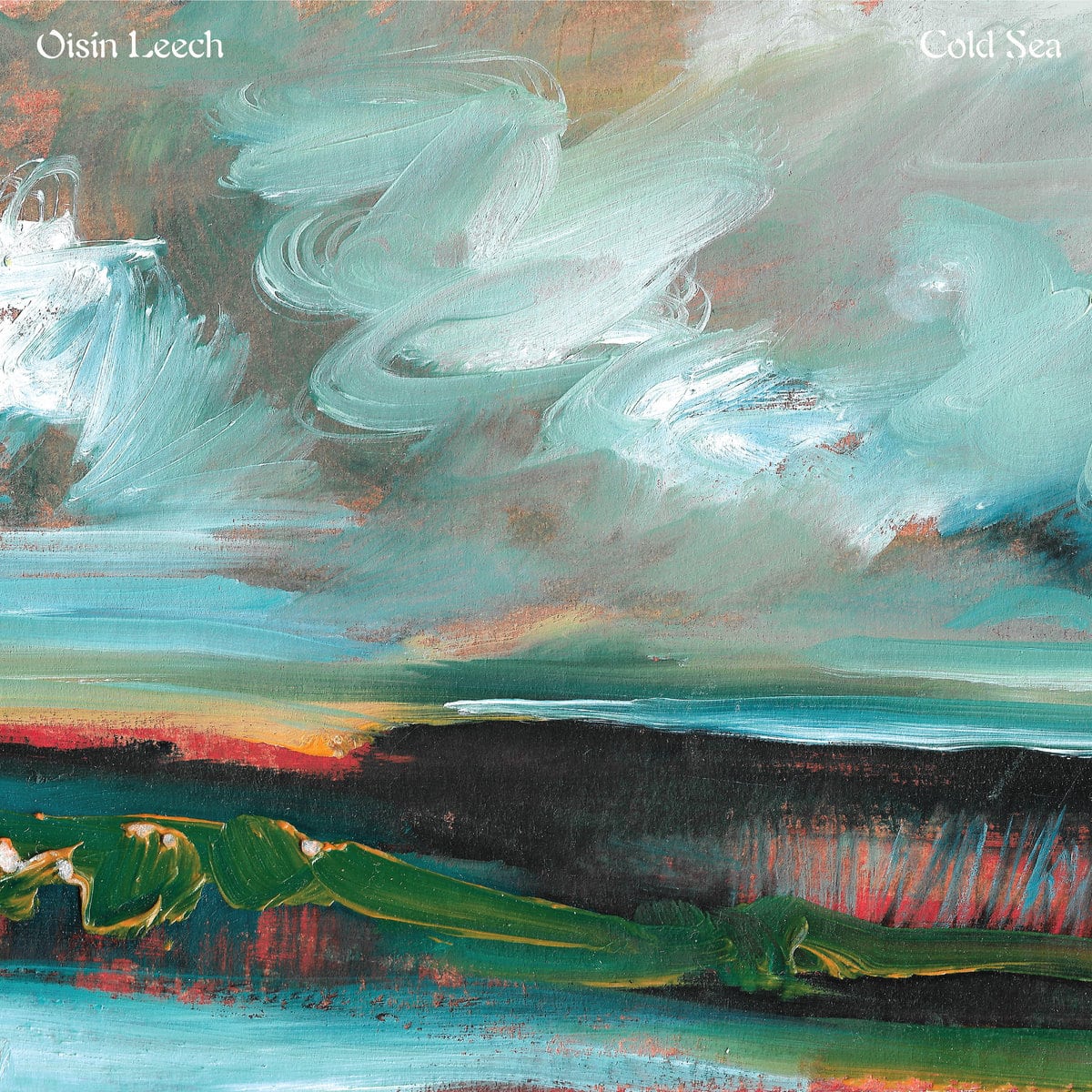 OISIN LEECH - Cold Sea