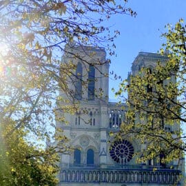 Learning French in France with French-Paris