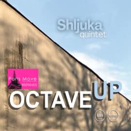 Shljuka Quintet - Octave Up (ENG review)