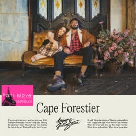 Angus & Julia Stone – Cape Forestier (ENG review)