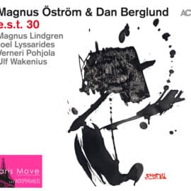 Magnus Öström & Dan Berglund - e.s.t. 30