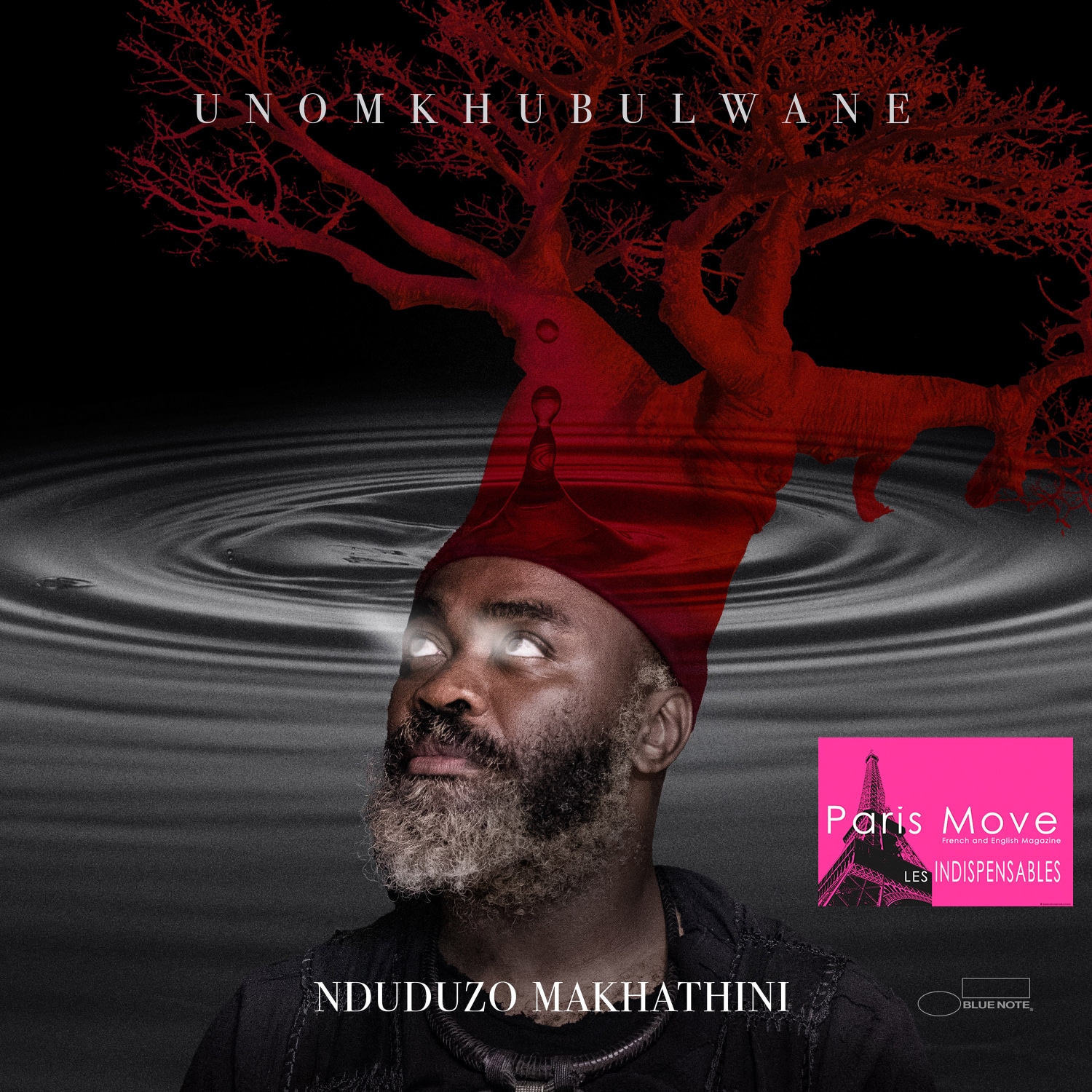 Nduduzo Makhathini - uNomkhubulwane