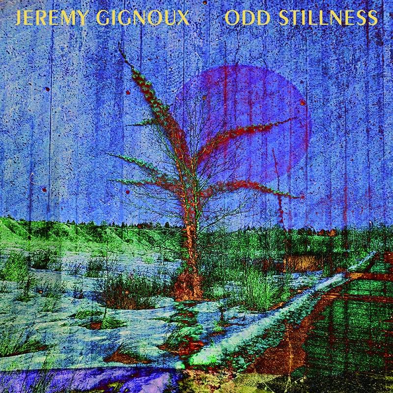 Jérémy GIGNOUX - Odd Stillness