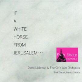 Dave Liebman & The CNY Jazz Orchestra - If A White Horse From Jerusalem...