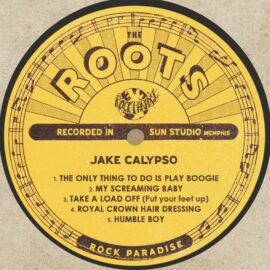 JAKE CALYPSO - THE ROOTS & THE FRUITS