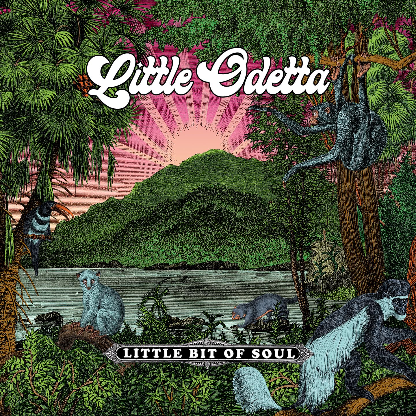 LITTLE ODETTA - Little Bit Of Soul