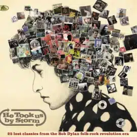 HE TOOK US BY STORM (Various Artists)