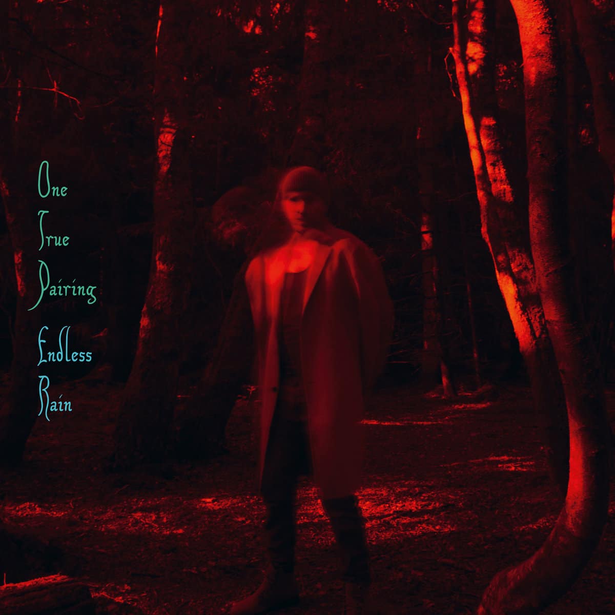 ONE TRUE PAIRING - Endless Rain