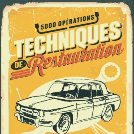 TECHNIQUES DE RESTAURATION