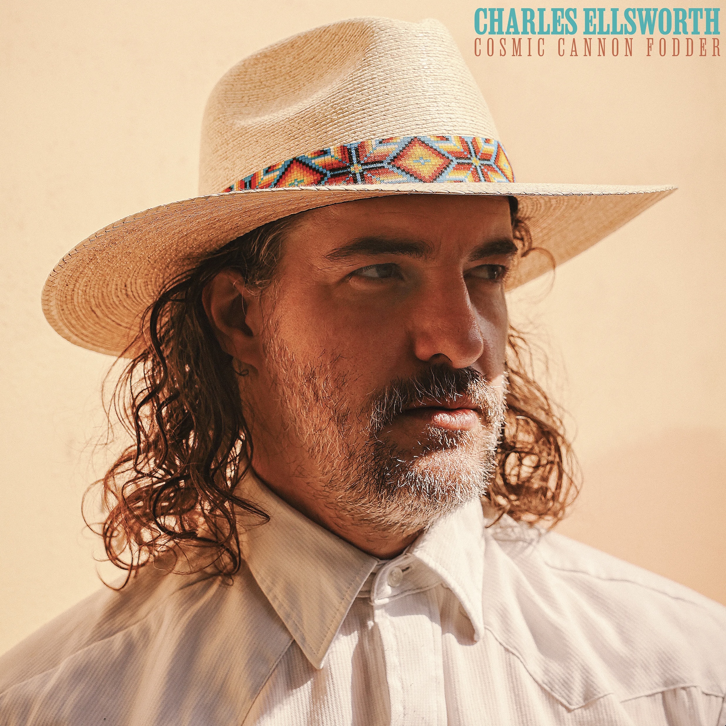 CHARLES ELLSWORTH - Cosmic Cannon Fodder