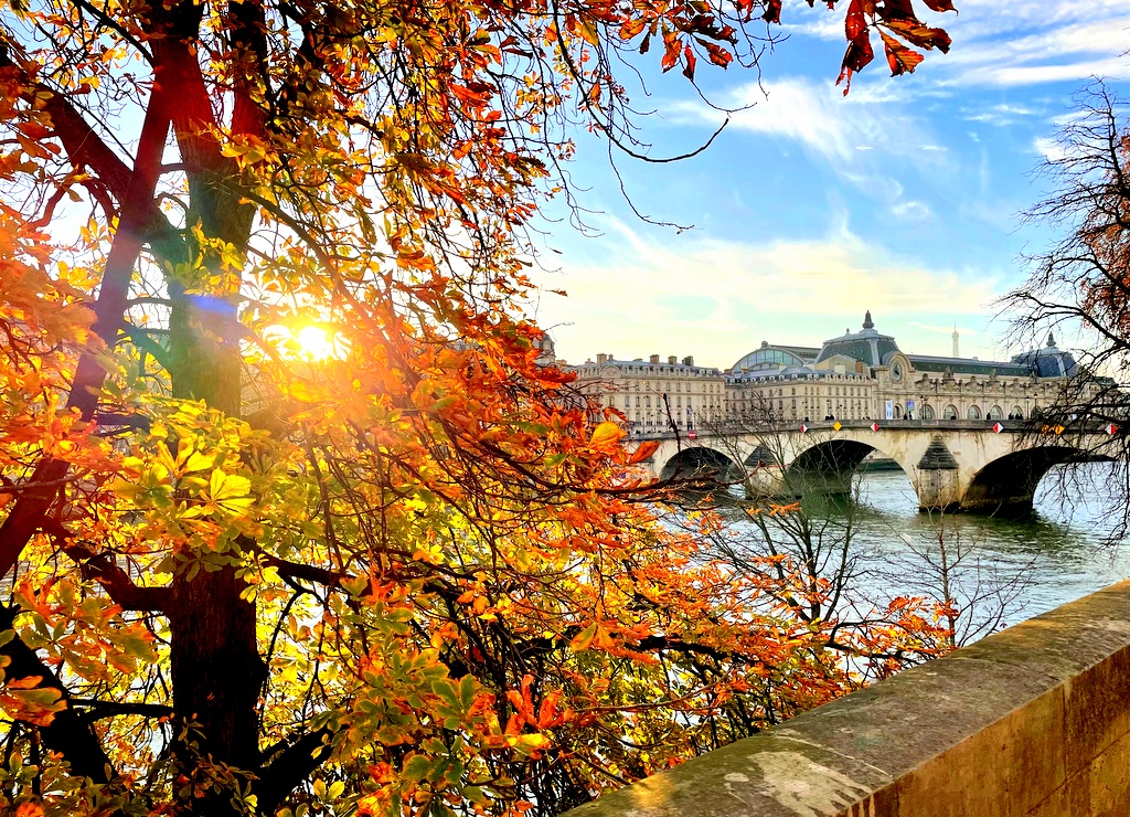 Summer French Course in Paris, in France