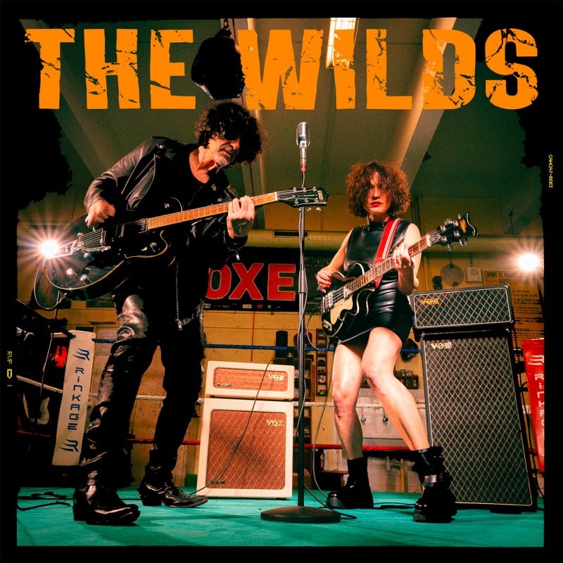 THE WILDS - Rock To The Bone