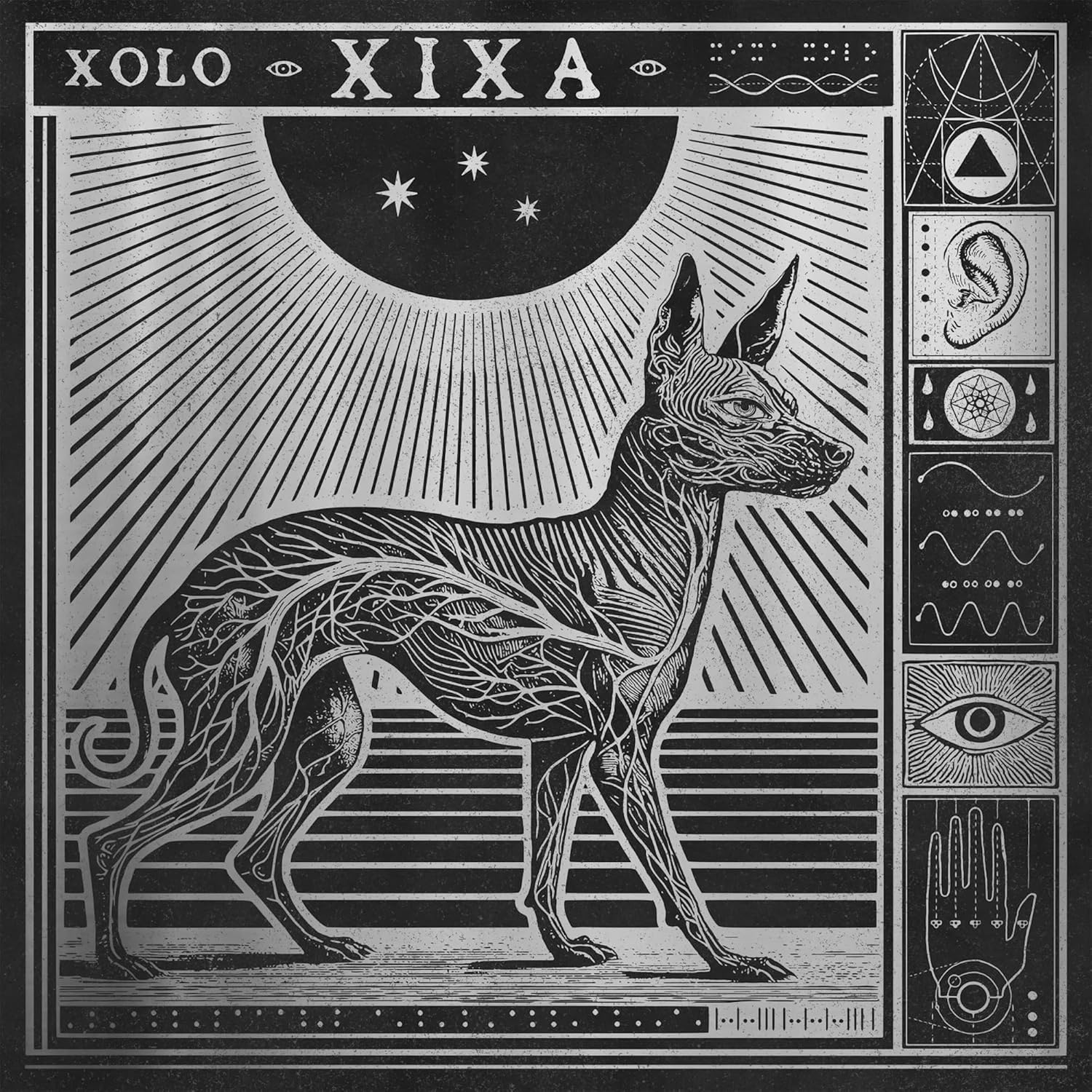 XIXA - Xolo