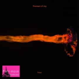 Theorem Of Joy – Feux