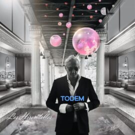 TODEM, nouveau single Les Hirondelles