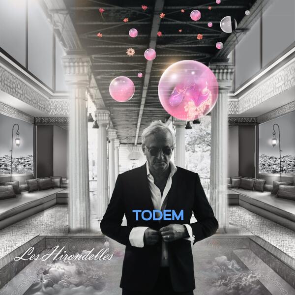 TODEM, nouveau single Les Hirondelles