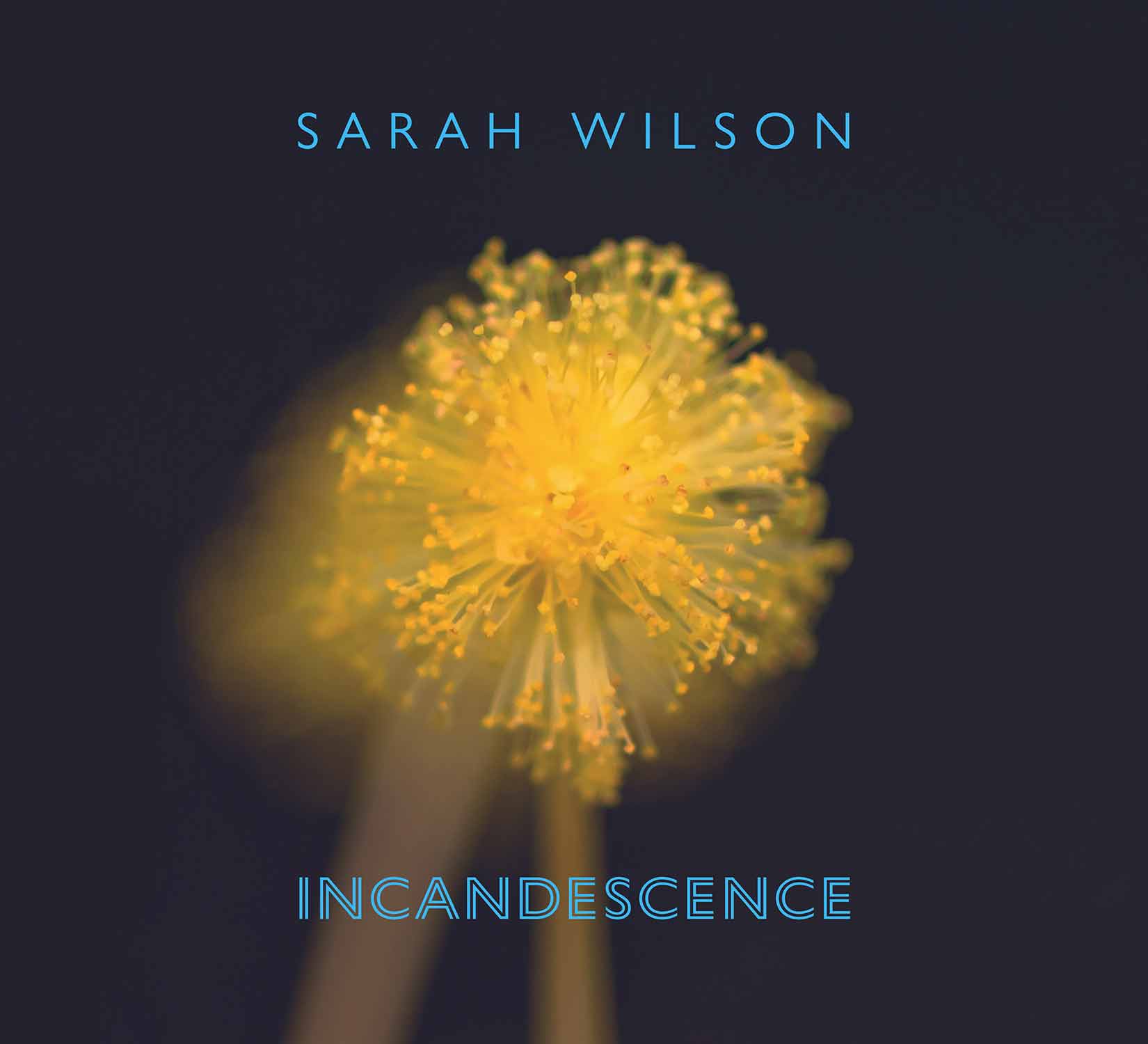 Sarah Wilson – Incandescence