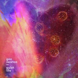 GAZ NEWTON - Quiet Life