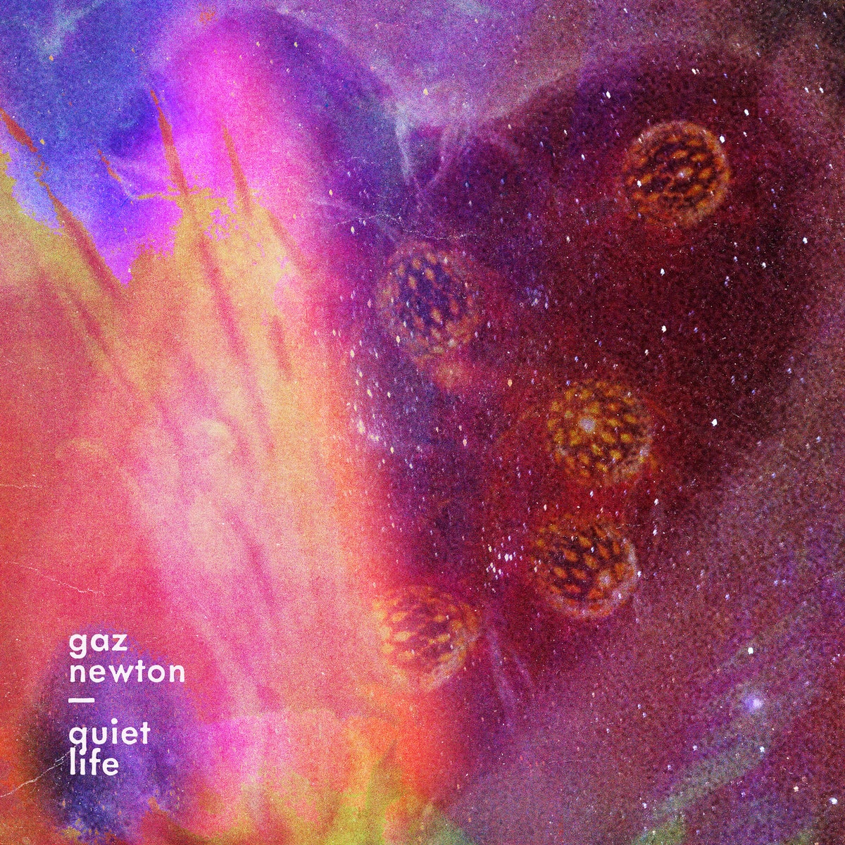 GAZ NEWTON - Quiet Life