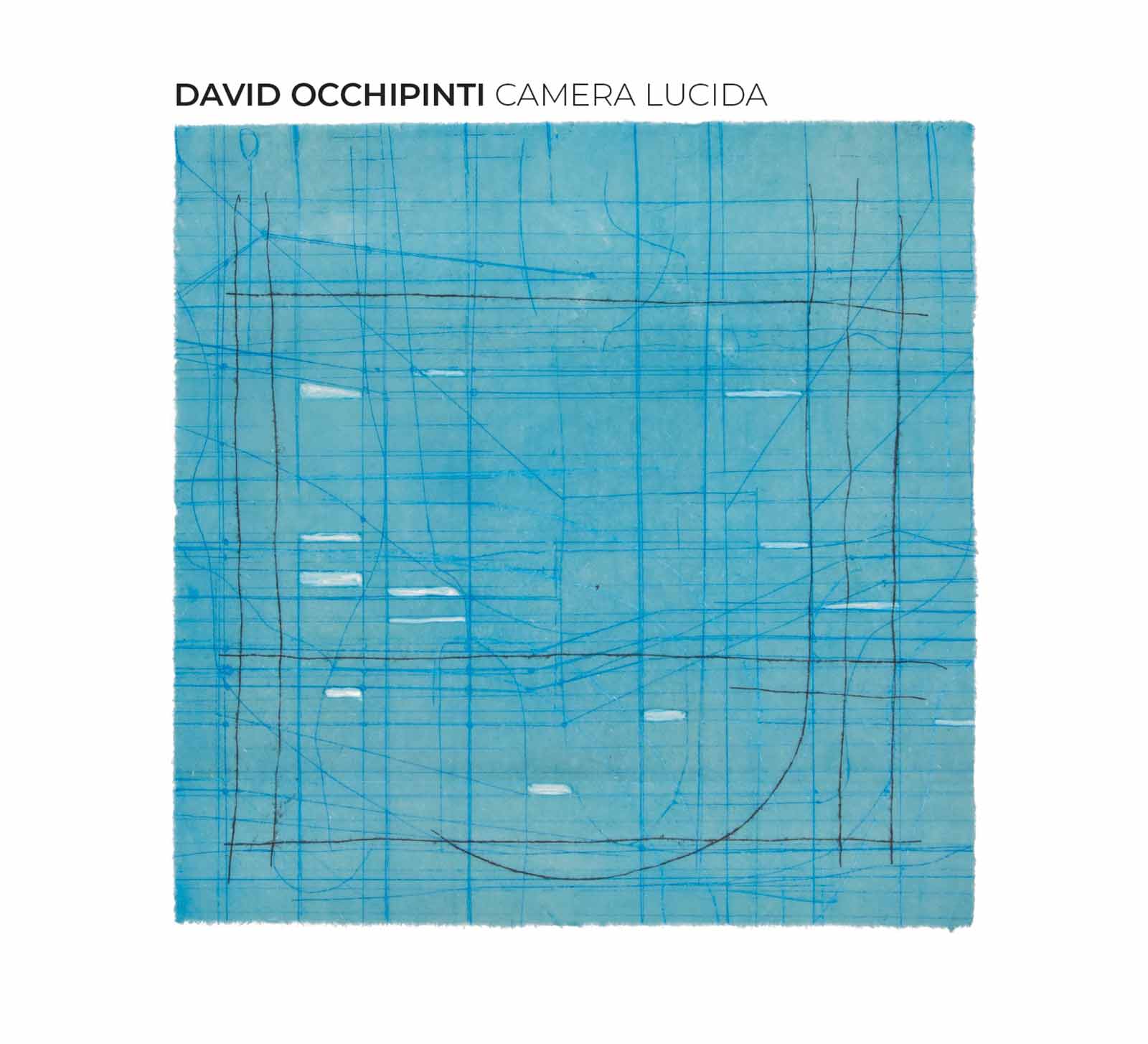 David Occhipinti - Camera Lucida