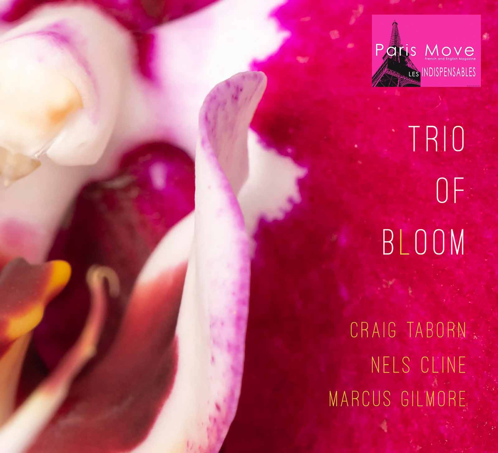 Craig Taborn, Nels Cline, Marcus Gilmore – Trio of Bloom