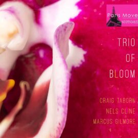 Craig Taborn, Nels Cline, Marcus Gilmore – Trio of Bloom