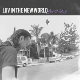 JOE NOLAN - Luv In The New World