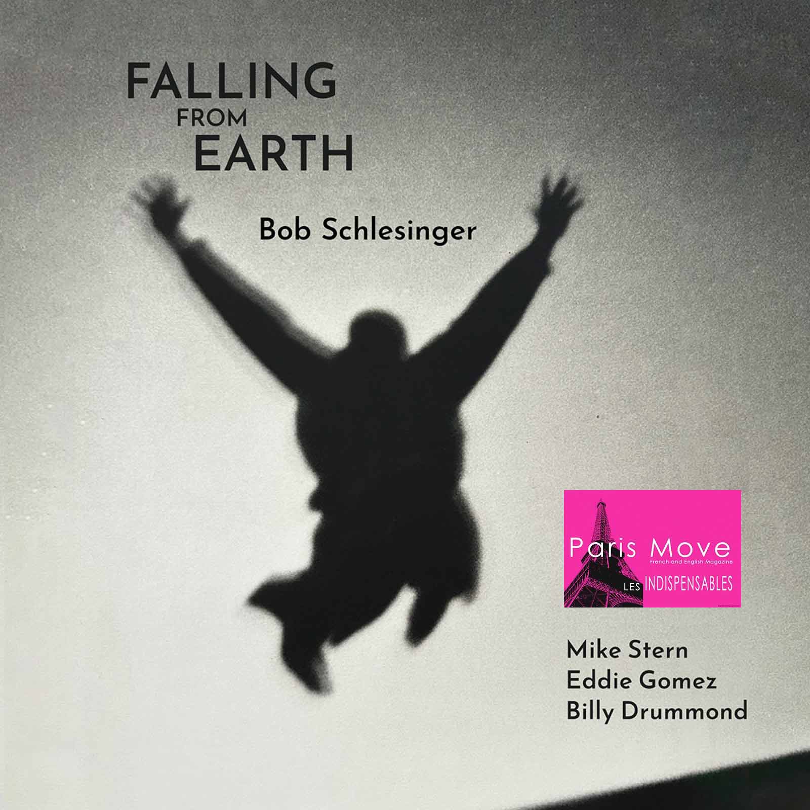 Bob Schlesinger - Falling From Heart