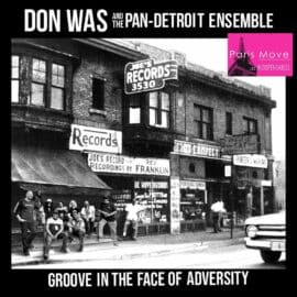 Don Was and the Pan-Detroit Ensemble - Groove In The Face Of Adversity