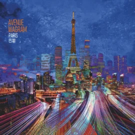 THIERRY MAILLARD - Avenue Wagram Paris