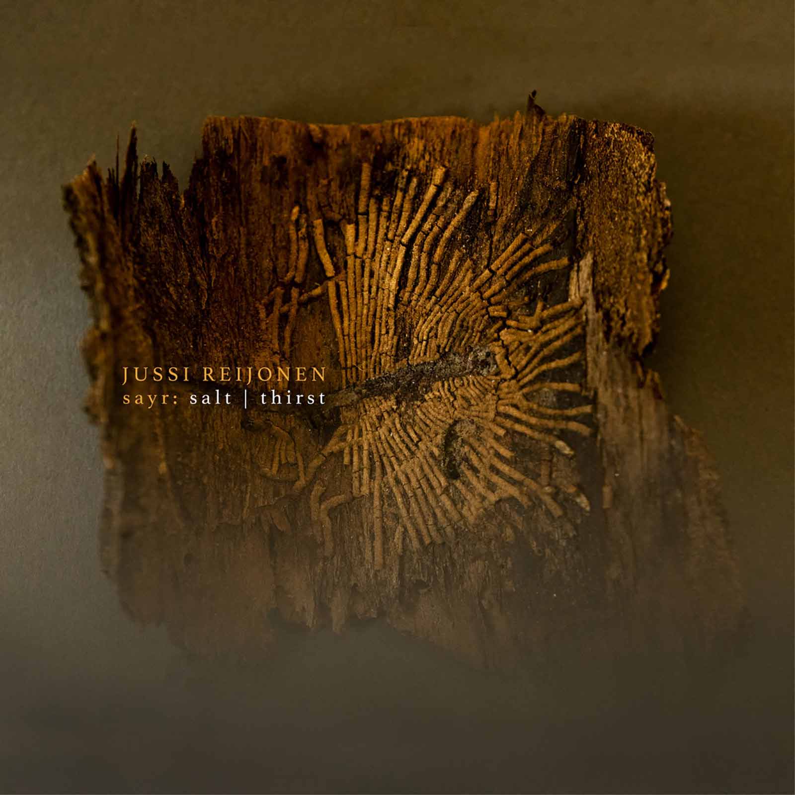 Jussi Reijonen - Sayr: Salt – Thirst