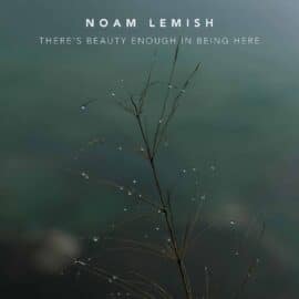 Noam Lemish – There’s beauty enough in being here