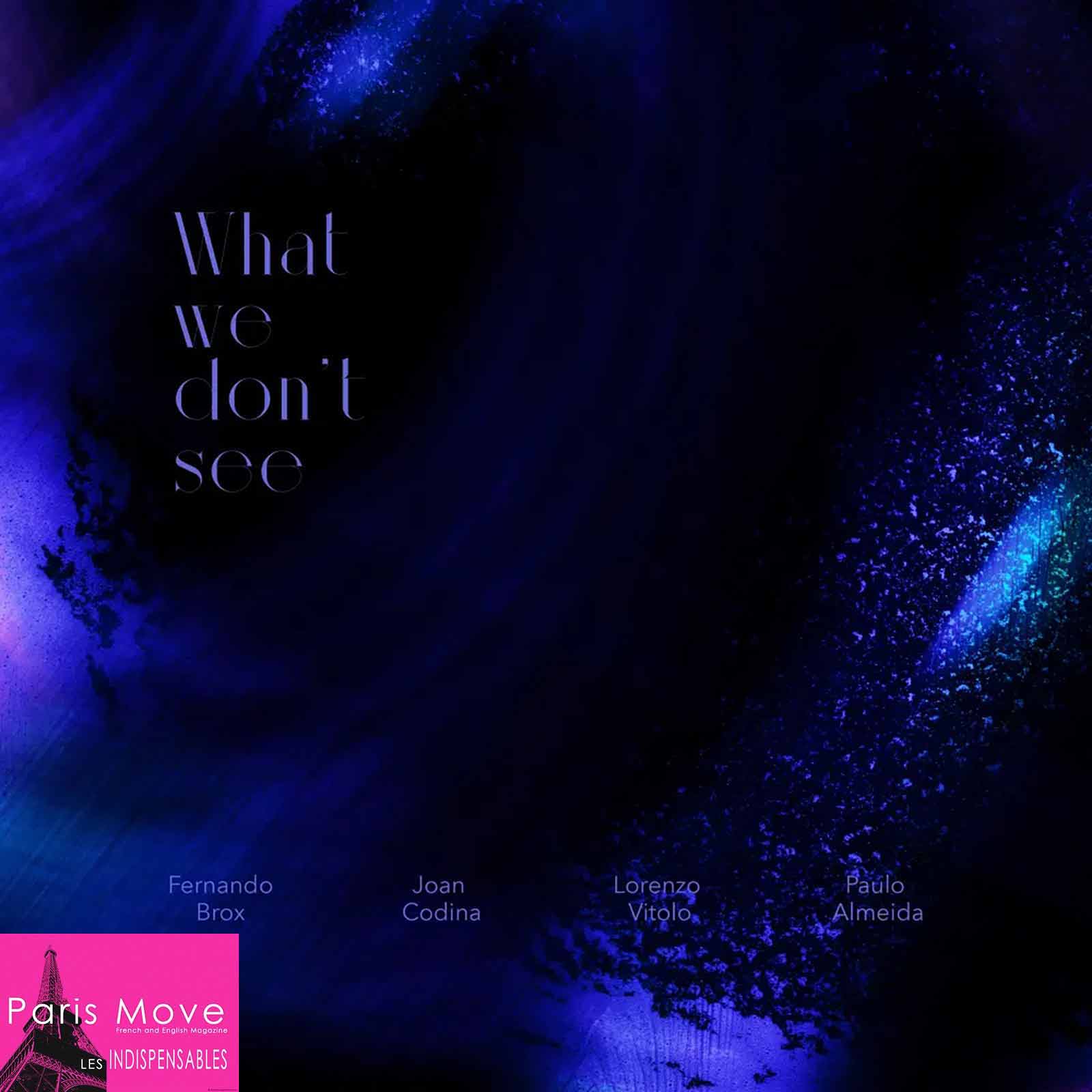 Fernando Brox - What We Don't See