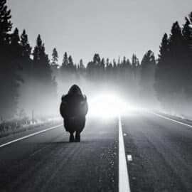 Franck Marchal: le clip "Eternal Present"