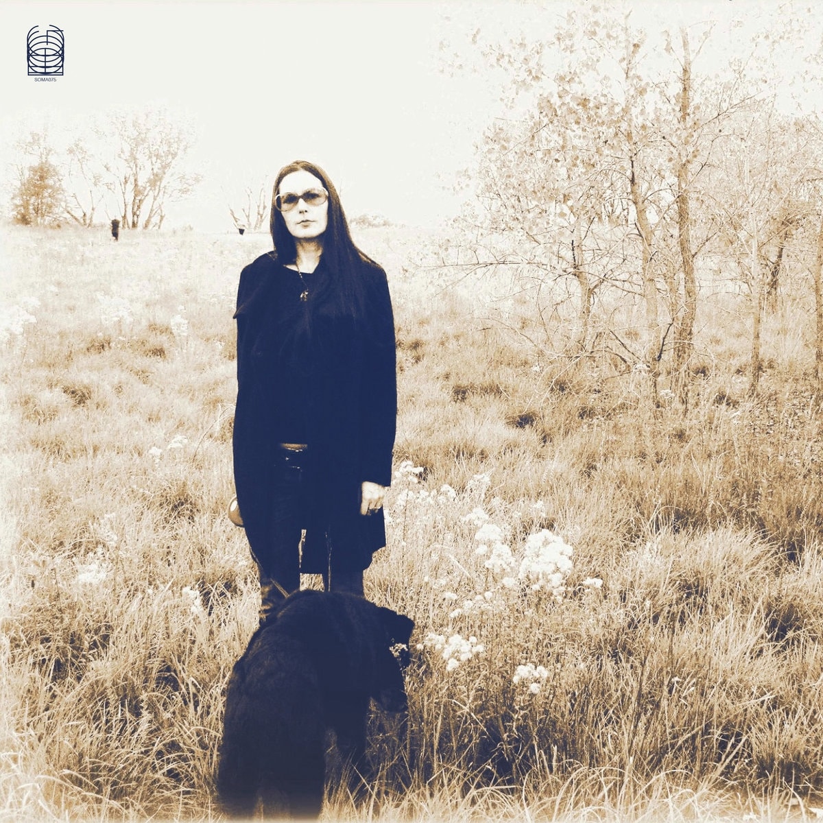 JESSE SYKES & THE SWEET HEREAFTER - Forever, I've Been Being Born