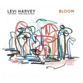 Levi Harvey Trio - Bloom