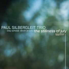 Paul Silbergleit Trio - The Stillness Of July